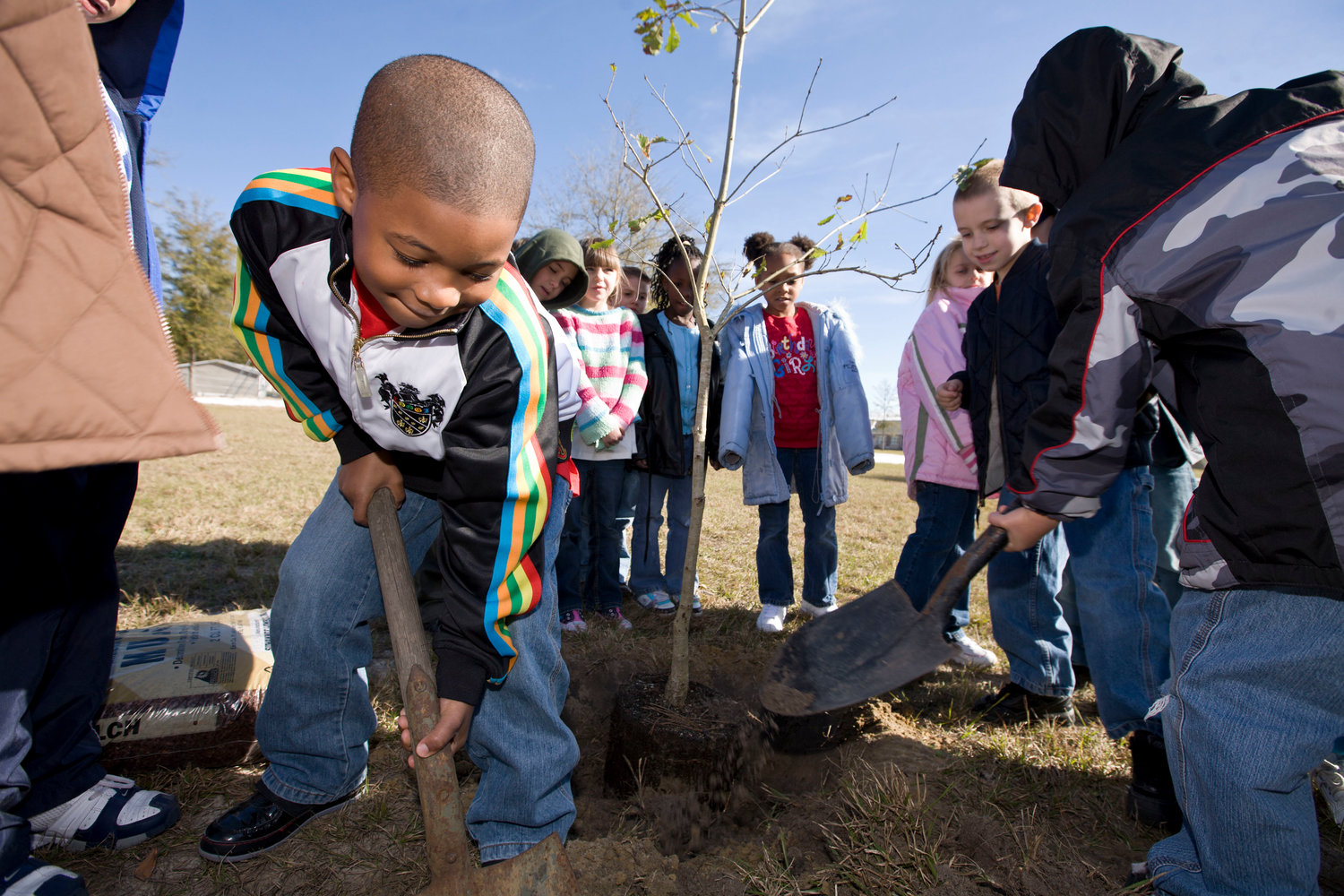 Florida Arbor Day, how to celebrate in Central Florida The Altamonte